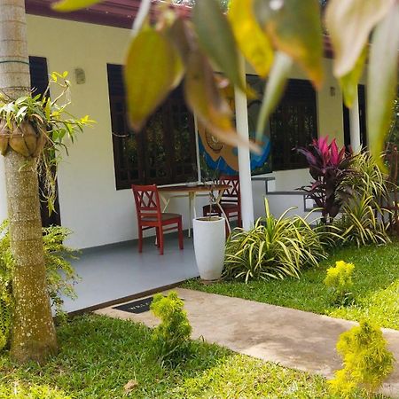 Bed and Breakfast Eco Nest Marakolliya Тангалла Экстерьер фото